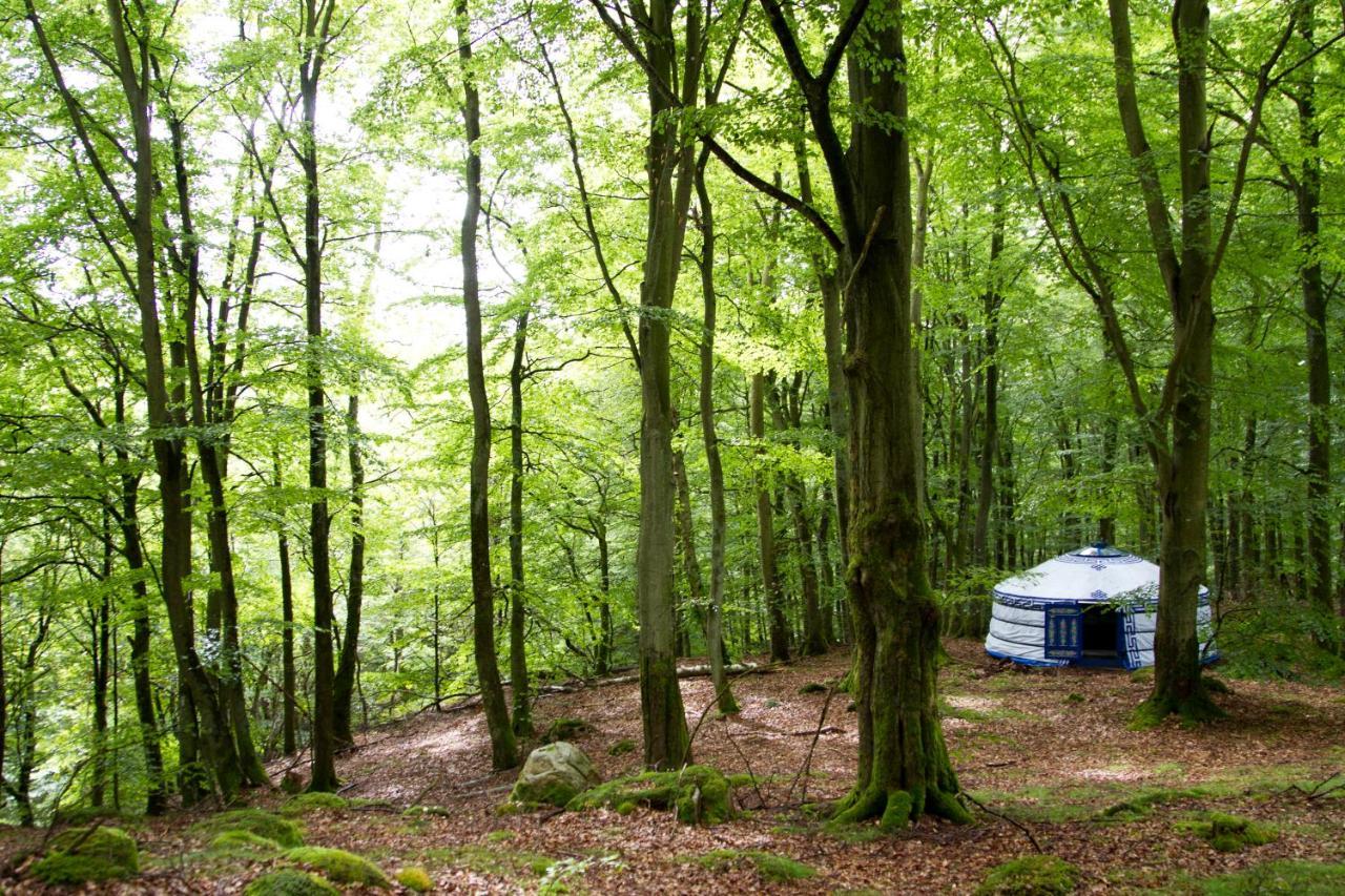 Stf Nyrups Naturhotell Höör Exteriér fotografie