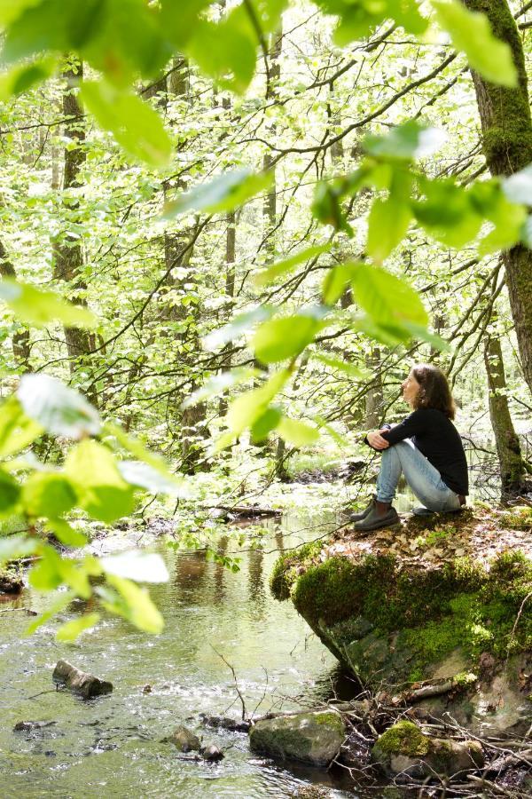 Stf Nyrups Naturhotell Höör Exteriér fotografie
